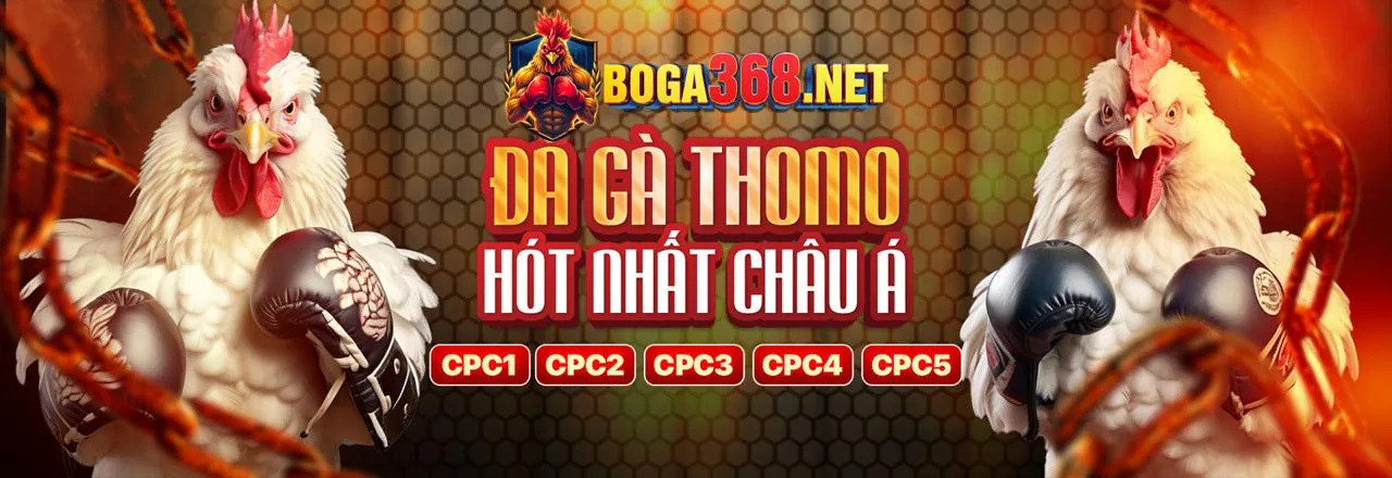 Đá Gà ZM88
