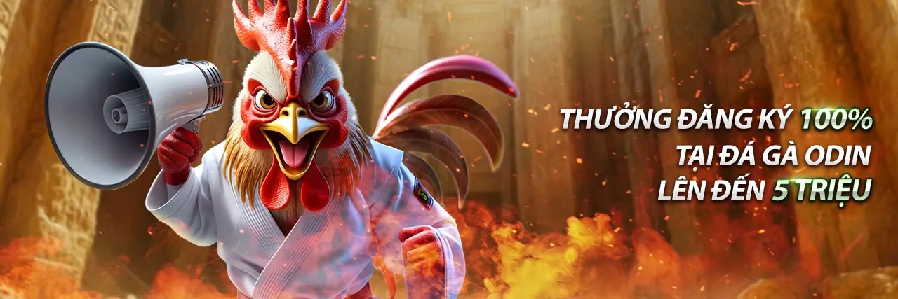 Sân vận động với trận đấu thể thao sôi động tại Loto188