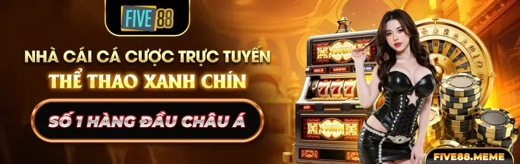 Đội ngũ chuyên gia của ZM88